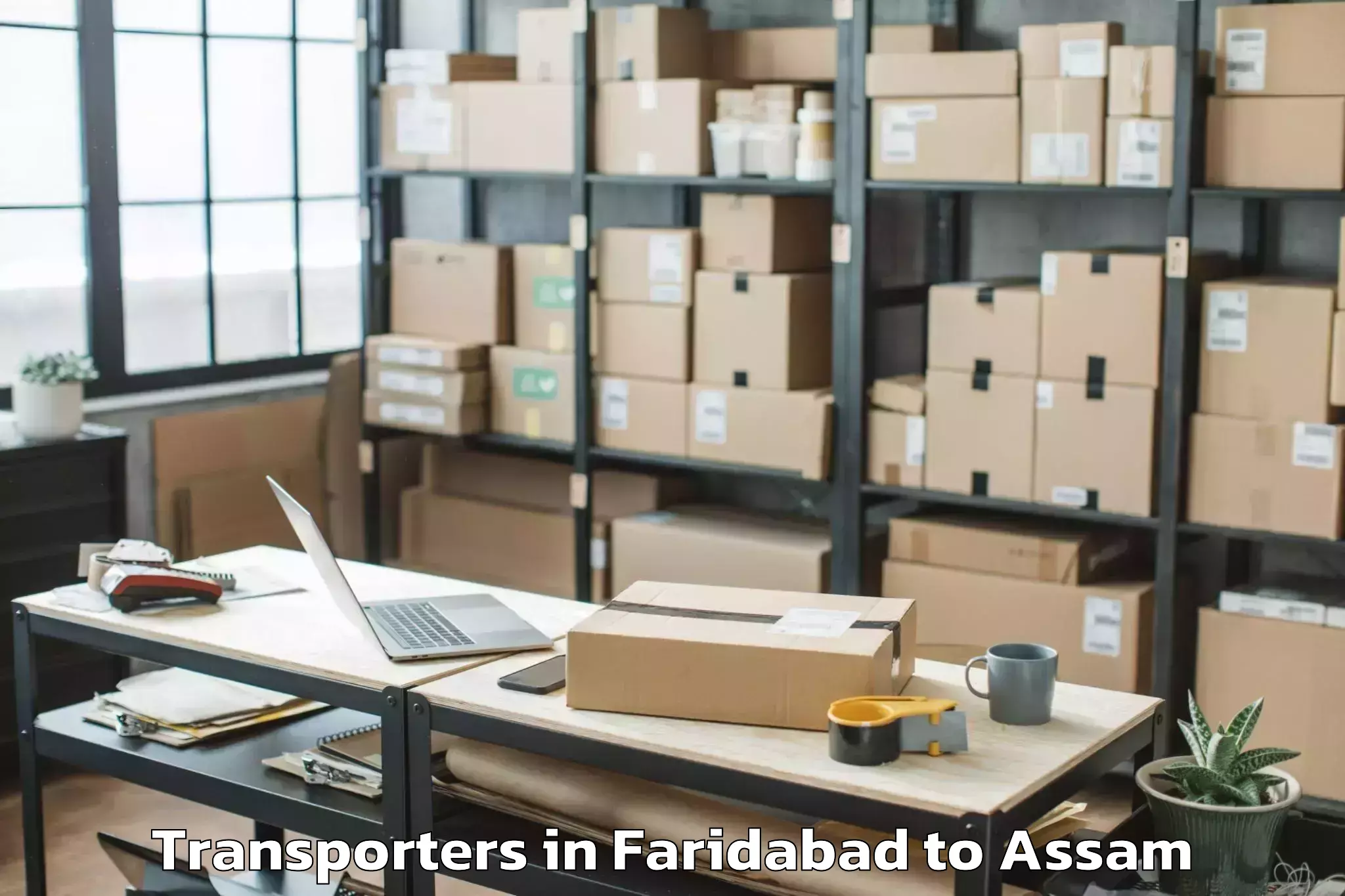 Top Faridabad to Kalain Transporters Available